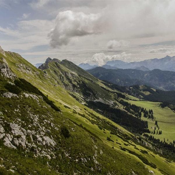 Handcrafted Plastic Gloves- 28 - miniature 2